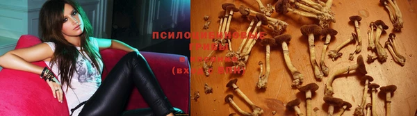 гидра Костерёво