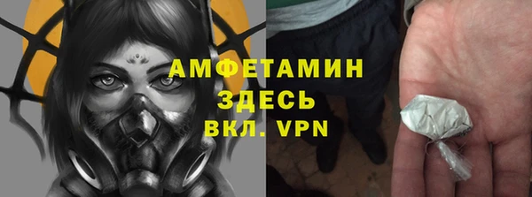 гидра Костерёво