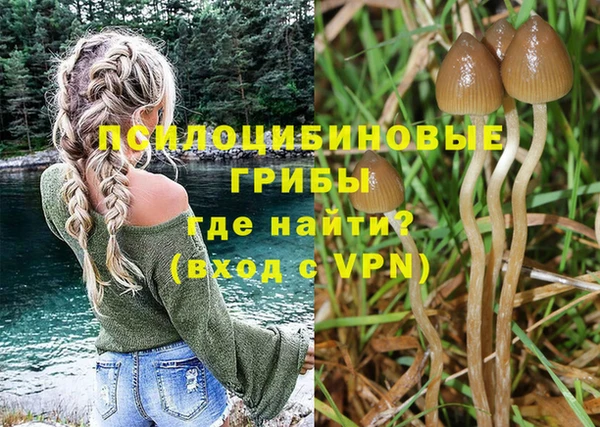 марки nbome Коряжма