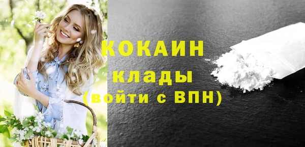 гидра Костерёво
