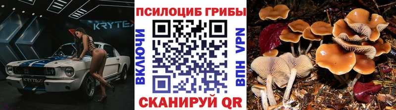 наркошоп  мега ССЫЛКА  Галлюциногенные грибы Cubensis  Топки 