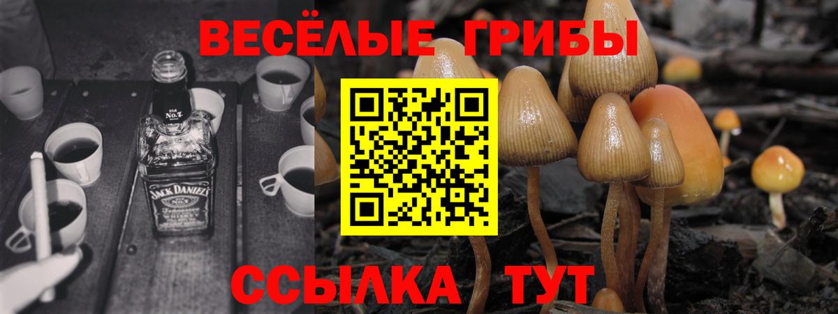 Топки  Псилоцибиновые грибы Psilocybine cubensis  Псилоцибиновые грибы Magic Shrooms  Вход с VPN 