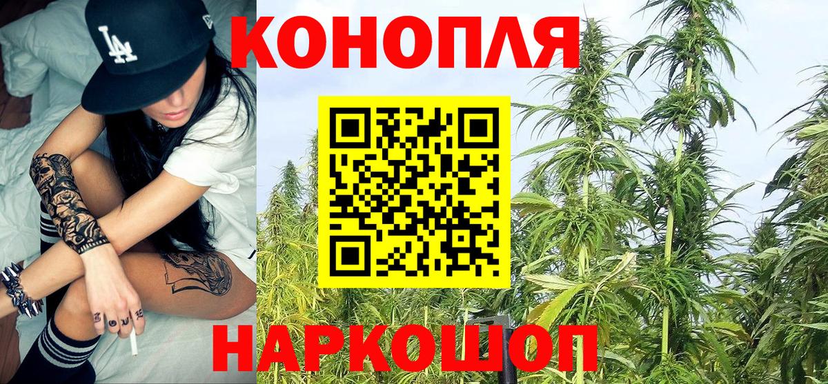 Марихуана Ganja  Шишки марихуана OG Kush  Марихуана план  Топки 